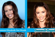 Shannon Elizabeth Net Worth