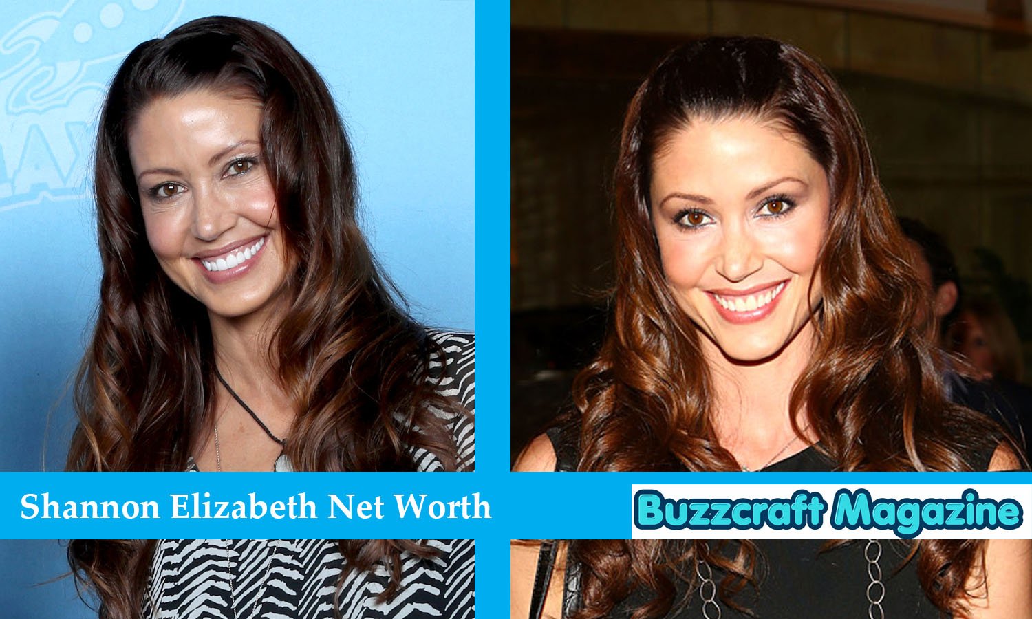 Shannon Elizabeth Net Worth