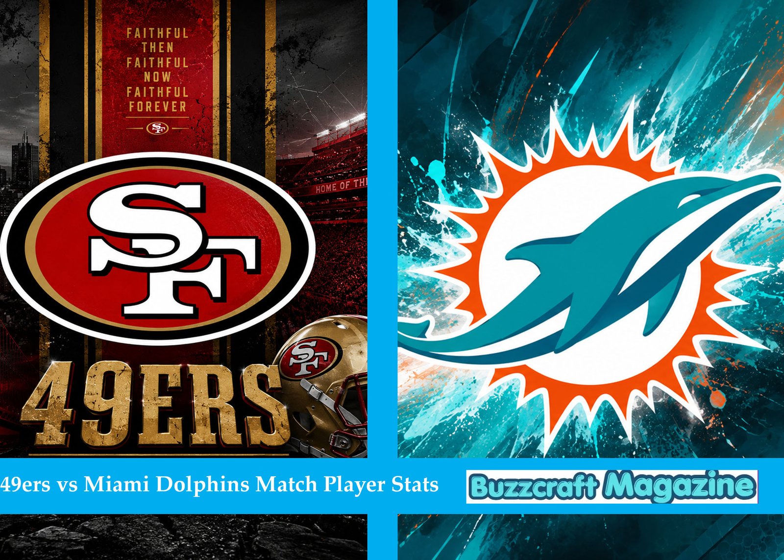 49ers vs Miami Dolphins Match Player Stats